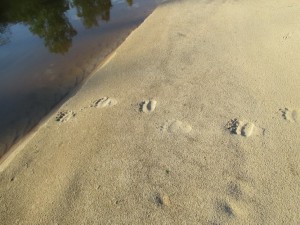 IMG_1836.JPG
