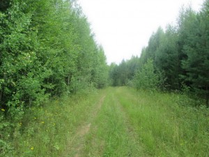 IMG_1886.JPG