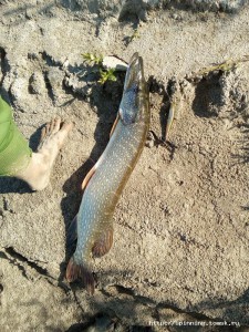 IMG_20160806_095142.jpg