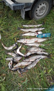20160820185027.jpg