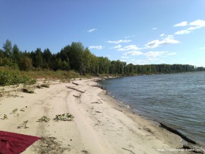 IMG_20160812_155340[1].jpg