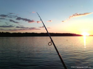 IMG_20160812_205534[1].jpg