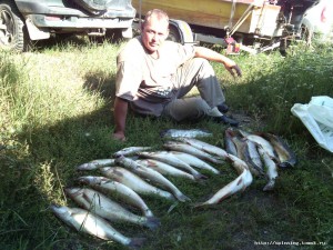 IMG_20160813_170851[1].jpg