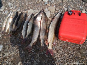 20160828_143351.jpg