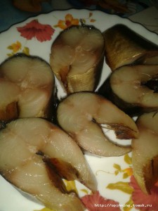 IMG-20160905-WA0000.jpg