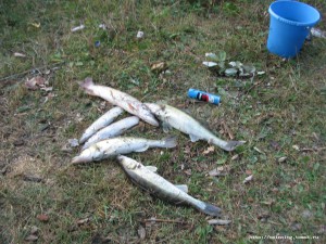 IMG_9717.JPG