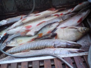 IMG_20160910_193533.jpg