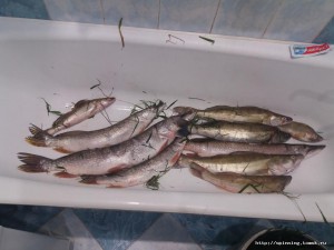 20160918_000825.jpg
