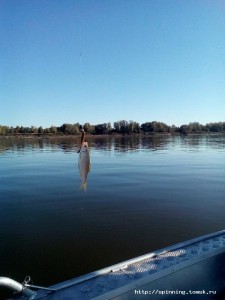 IMG_20160915_095039.jpg