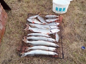 IMG_20160915_184128.jpg