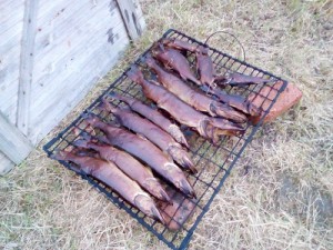 IMG_20160915_193533.jpg