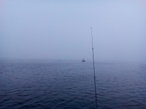 IMG_20160916_101551.jpg