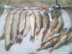 IMG_20160929_180328.jpg