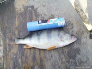 IMG_20160920_104209_4CS.jpg