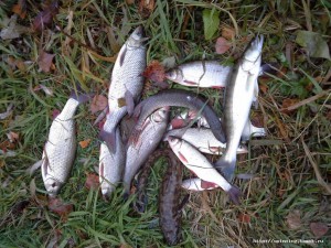 20161009_094533.jpg