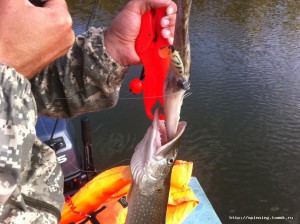 IMG_1481[1].jpg