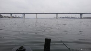 IMG-20161009-WA0003.jpeg