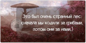 getImageAUP2C2DO.jpg