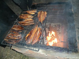 DSCN4374.JPG