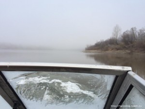 IMG_2731.JPG