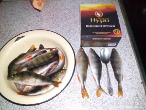IMG_20161104_153602.jpg