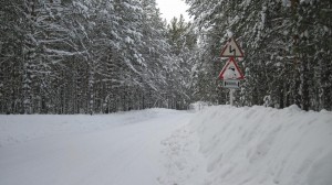f15281-c850df.jpg