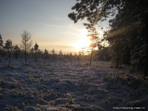IMG_2030.JPG