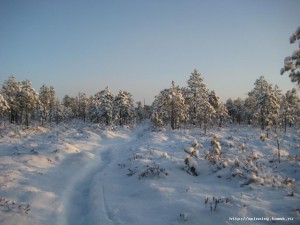IMG_2031.JPG