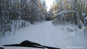 IMG_20161105_152257.jpg
