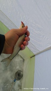 IMG-20161113-WA0003.jpeg