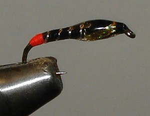 DSC06636.JPG