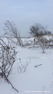 IMG_2934.JPG