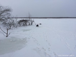IMG_2935.JPG