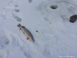 IMG_2936.JPG