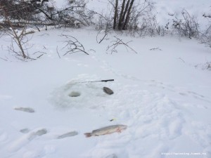 IMG_2938.JPG