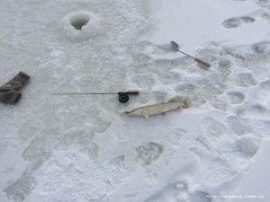 IMG_2940.JPG