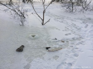 IMG_2942.JPG