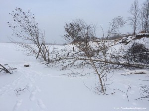 IMG_2937.JPG