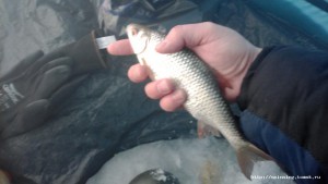 IMG_20161112_143701.jpg
