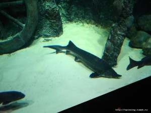 IMG_20161125_144532.jpg