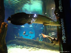 IMG_20161125_145316.jpg