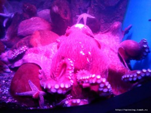 IMG_20161125_145437.jpg