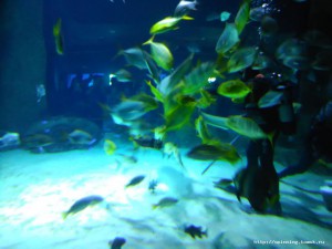 IMG_20161125_140333.jpg