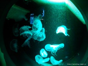 IMG_20161125_145836.jpg