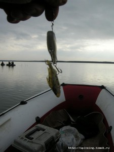 DSCN7650.JPG