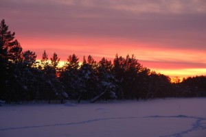 f15308-17dea6.jpg