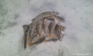 IMG_20170102_151151.jpg