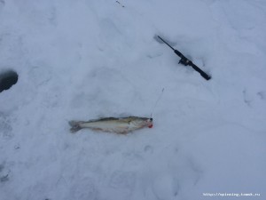 IMG_3667.JPG