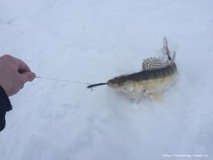 IMG_3670.JPG