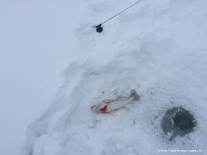 IMG_3677.JPG